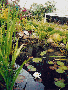bassin