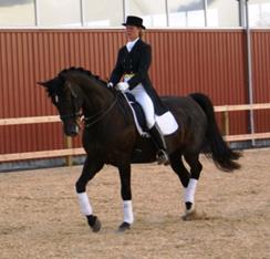 marsten2